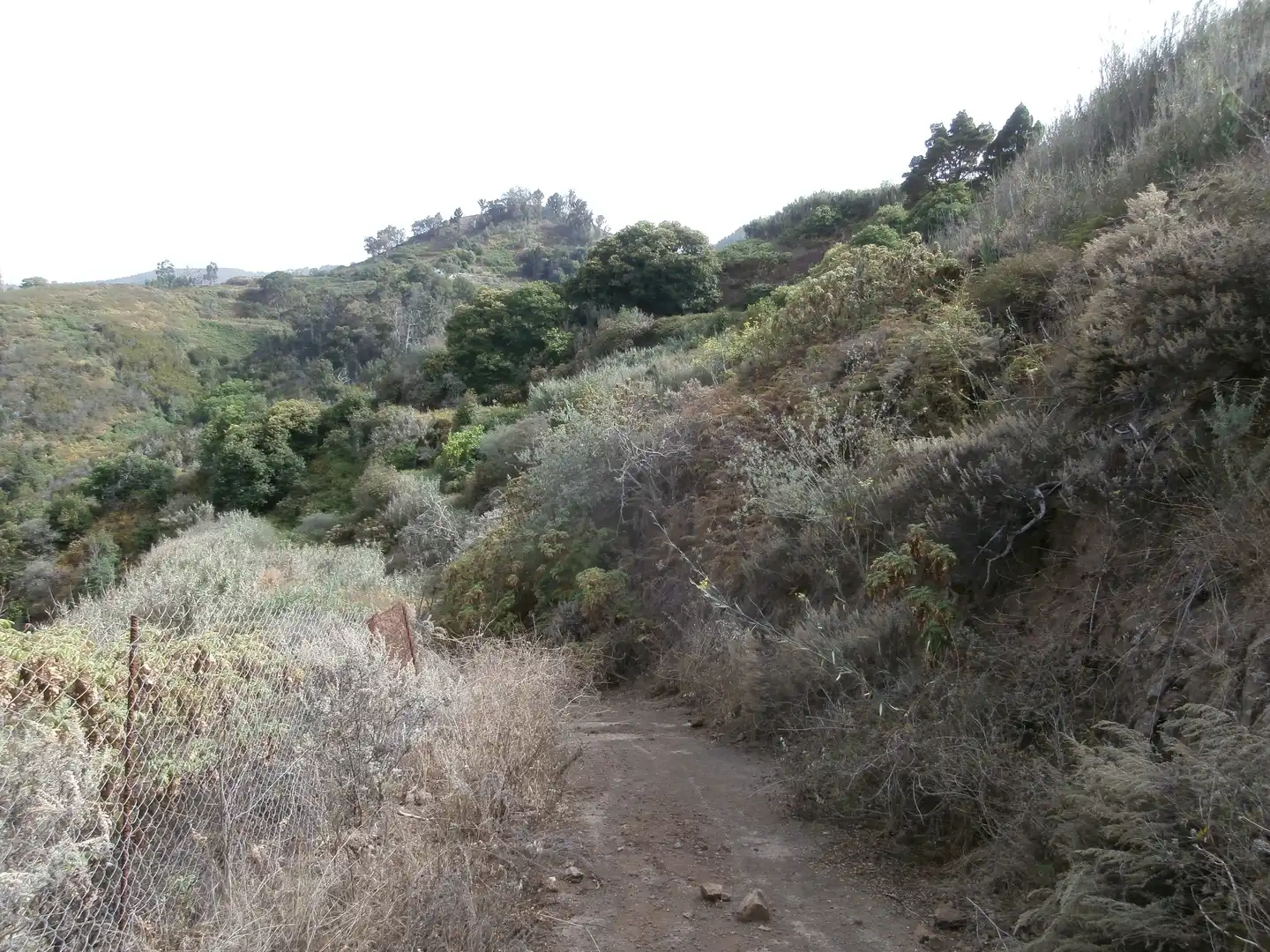 Finca rústica en venta en Camino Lomo el Marco, 41, Moya (Las Palmas)