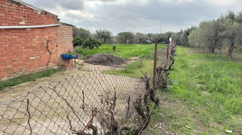 Photo 5 of Land for sale in T-310, 8, Montbrió del Camp, Tarragona