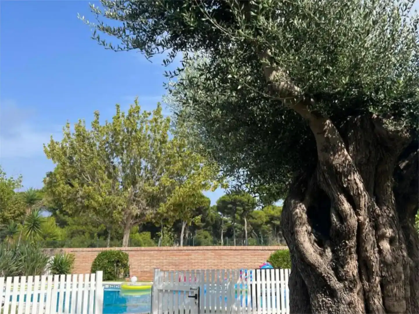 Jardí de Casa o xalet de lloguer en Castellón de la Plana / Castelló de la Plana amb Aire condicionat, Jardí privat i Parquet