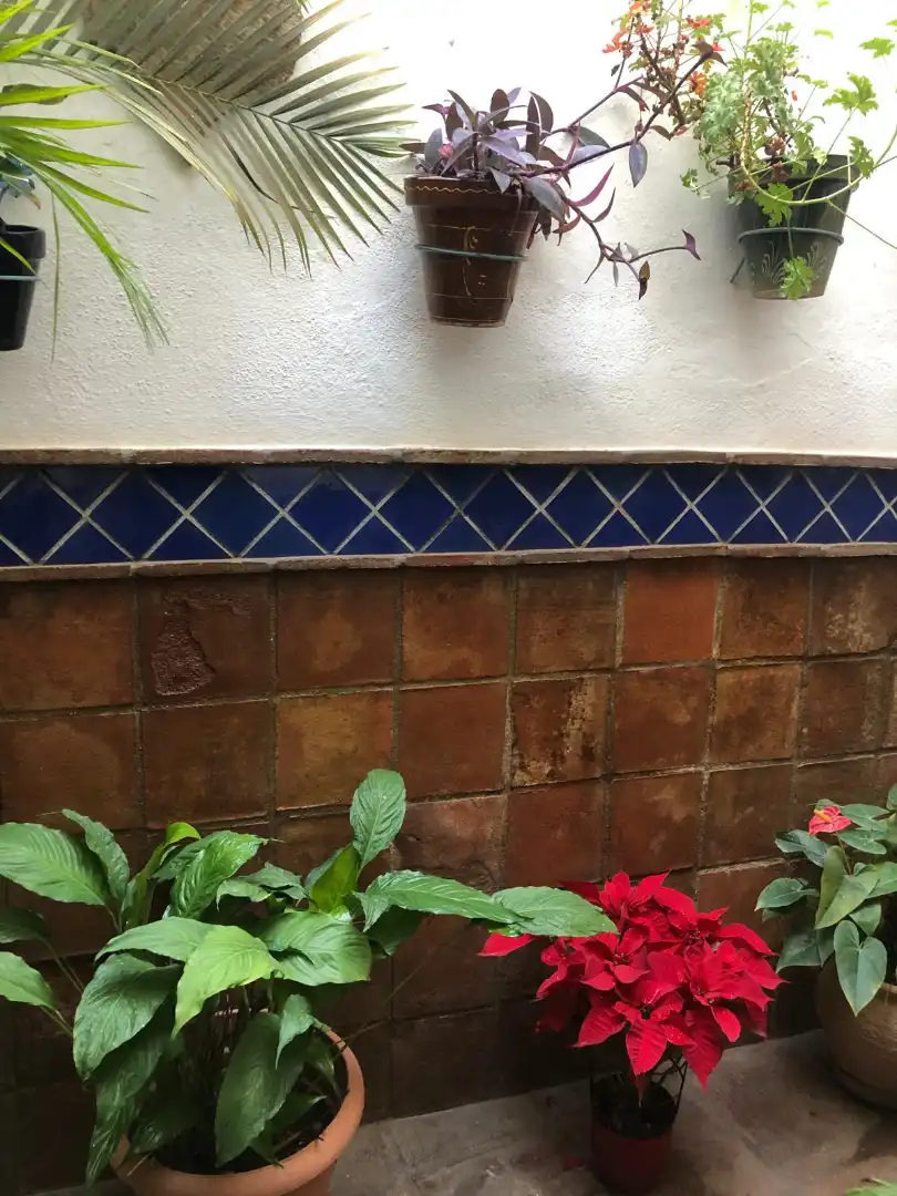 Terrassa de Finca rústica en venda en Estepona amb Aire condicionat, Calefacció i Terrassa