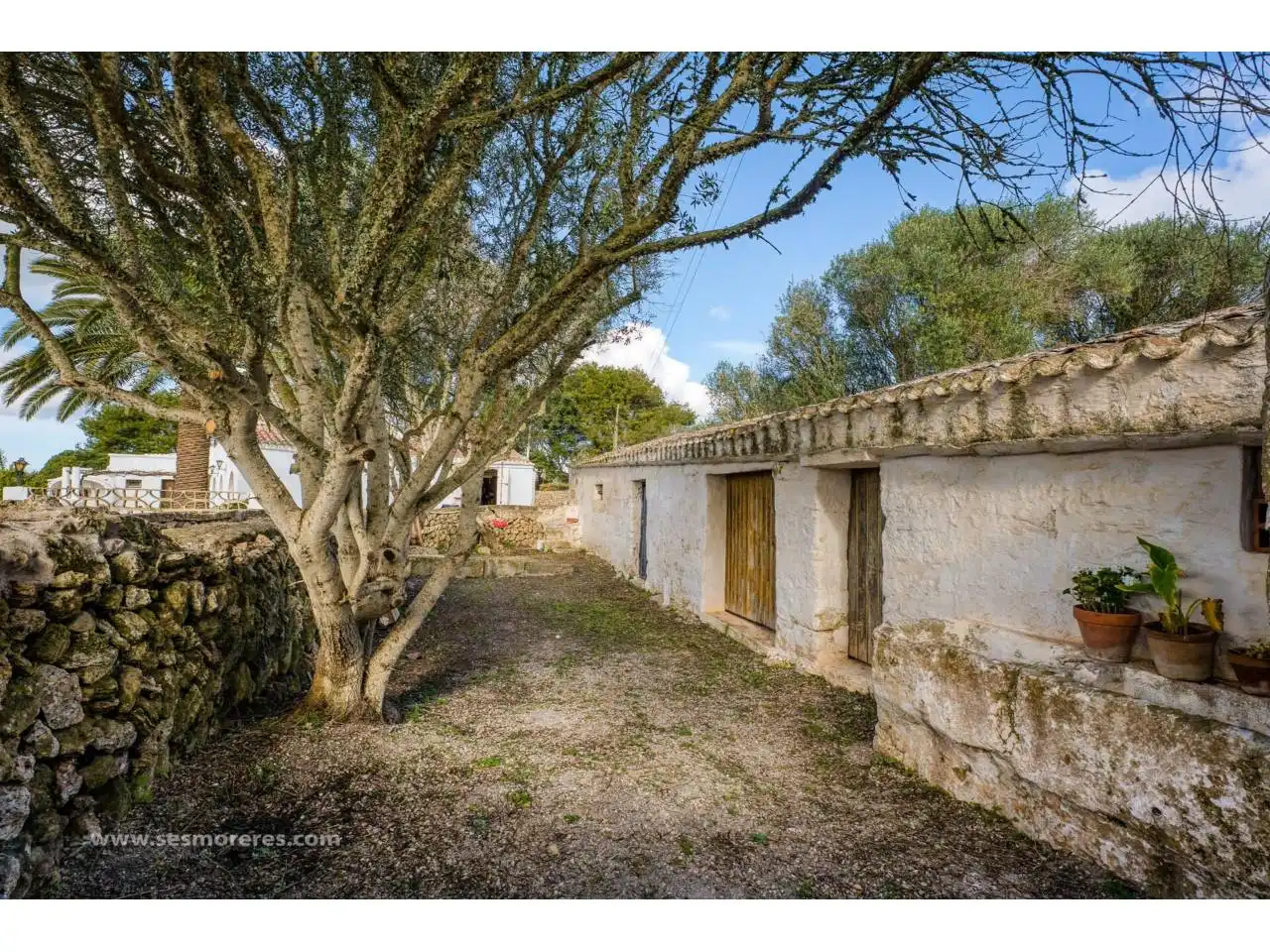 Vista exterior de Finca rústica en venda en Maó - Mahón amb Jardí privat