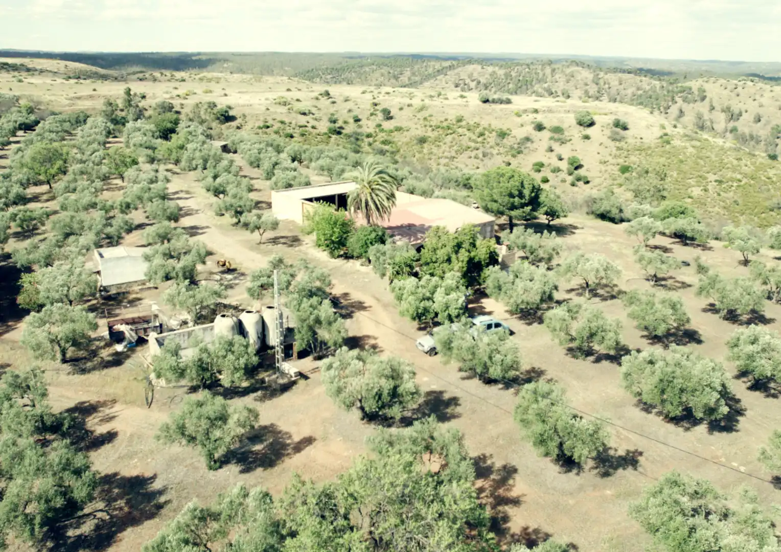 Finca rústica en venta en La Palma del Condado con Jardín privado, Terraza y Trastero