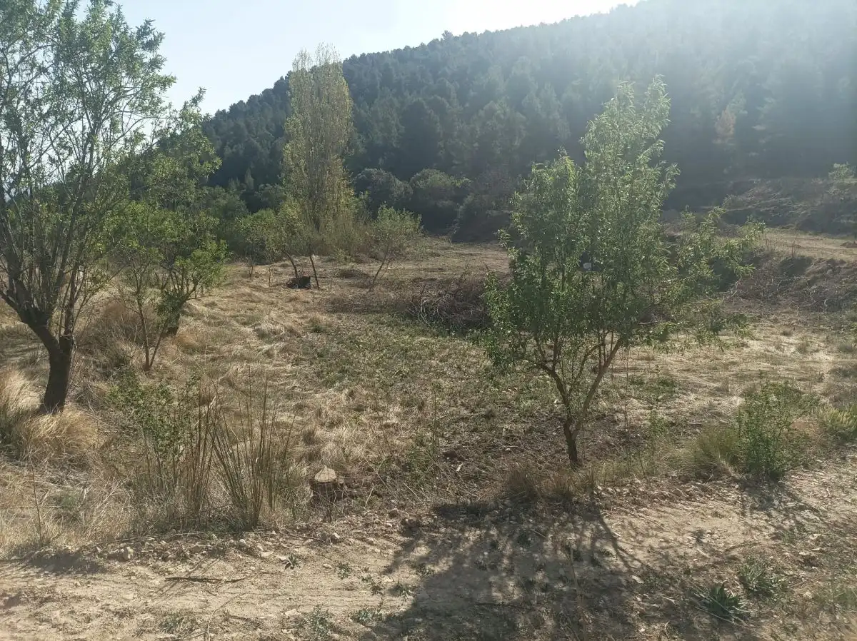 Residencial en venta en Lorca
