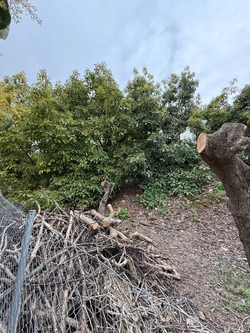 Finca rústica en venta en Coín con Aire acondicionado, Calefacción y Jardín privado