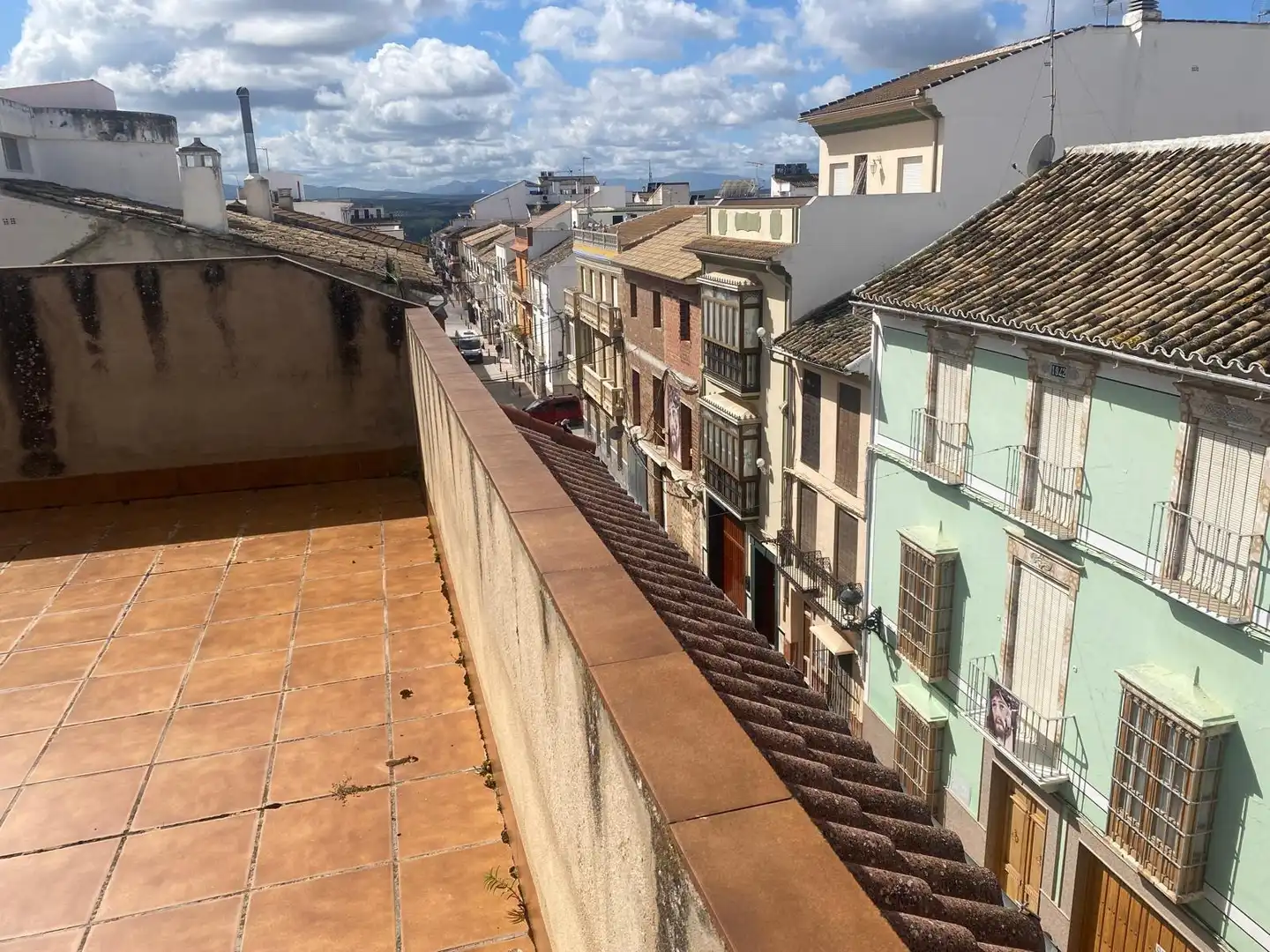 Exterior view of Detached homes for sale in Benamejí  with Private garden, Terrace and Storage room