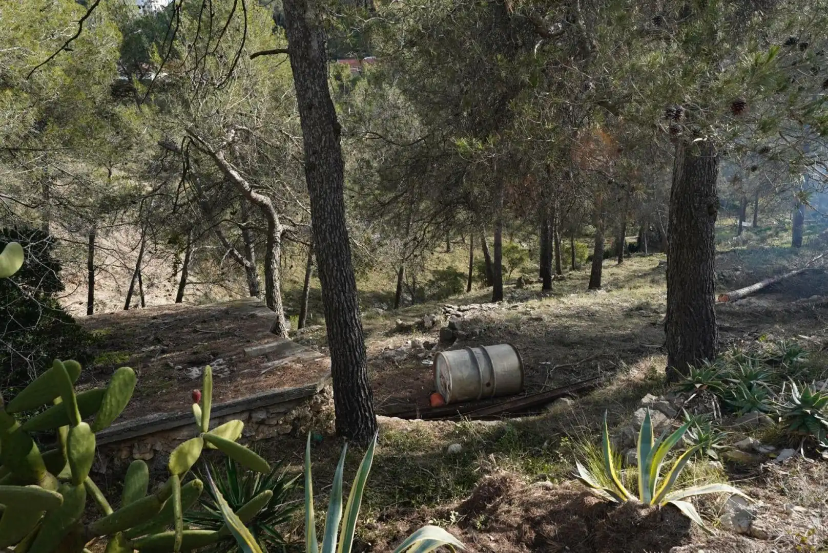 Terrenys i solars en venda a Olesa de Bonesvalls, imagen 4