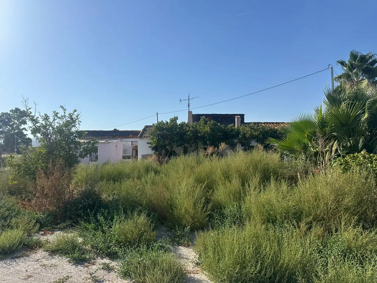 Terreno residencial en venta en Pedanías Centro, imagen 3