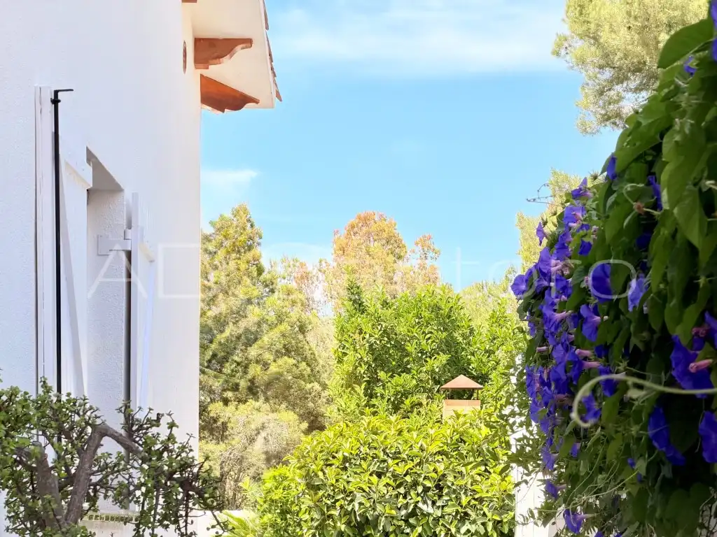 Jardí de Casa o xalet en venda en Sant Pere de Ribes