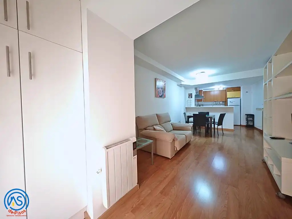Apartament amb ascensor de lloguer a Calle de Ramón Pignatelli 46, imagen 12