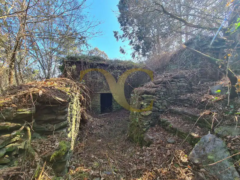 Vista exterior de Casa o xalet en venda en Villayón amb Jardí privat