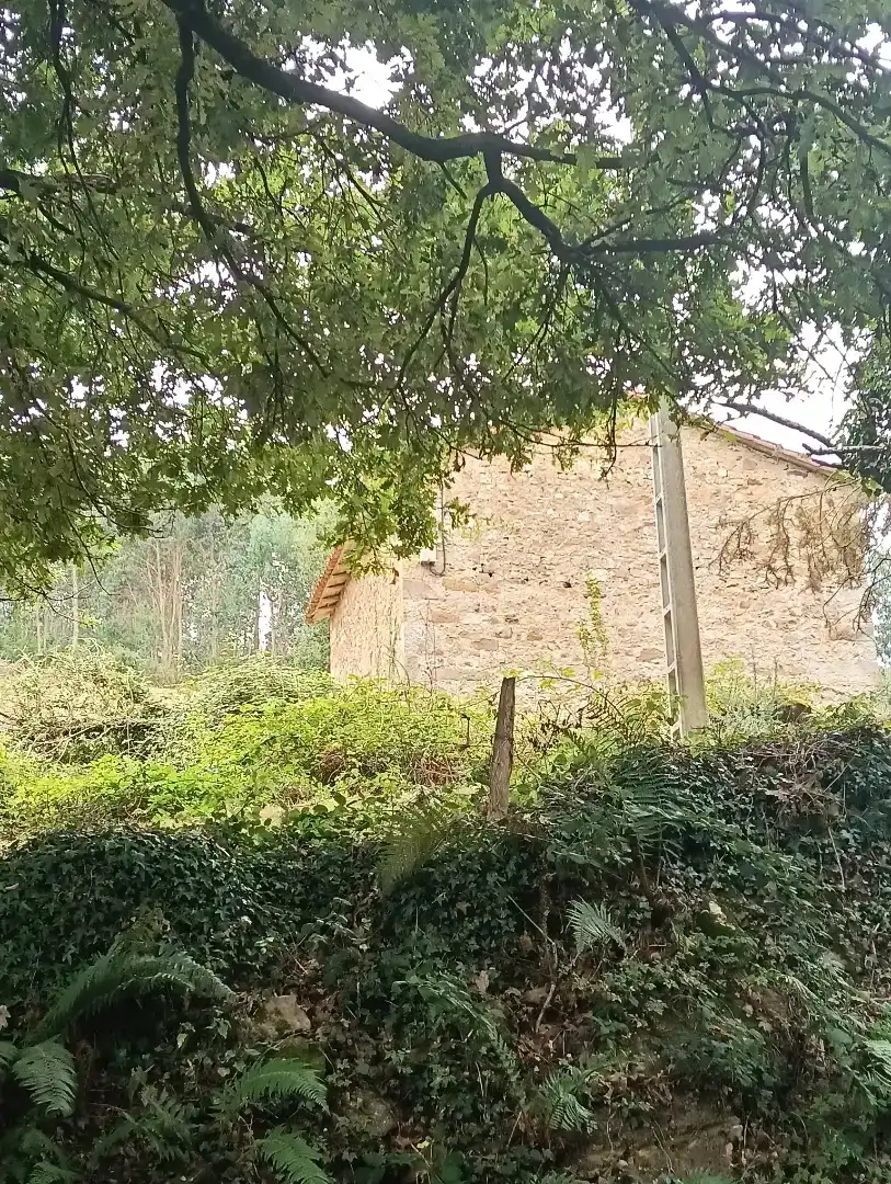 Vista exterior de Casa o xalet en venda en Puente Viesgo