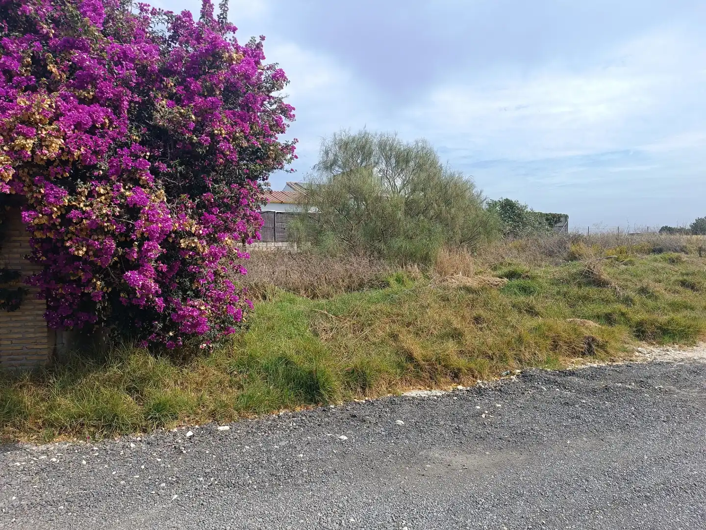 Terreno rustico in vendita a Ctra Sanlúcar - Cuatro Pinos, imagen 3