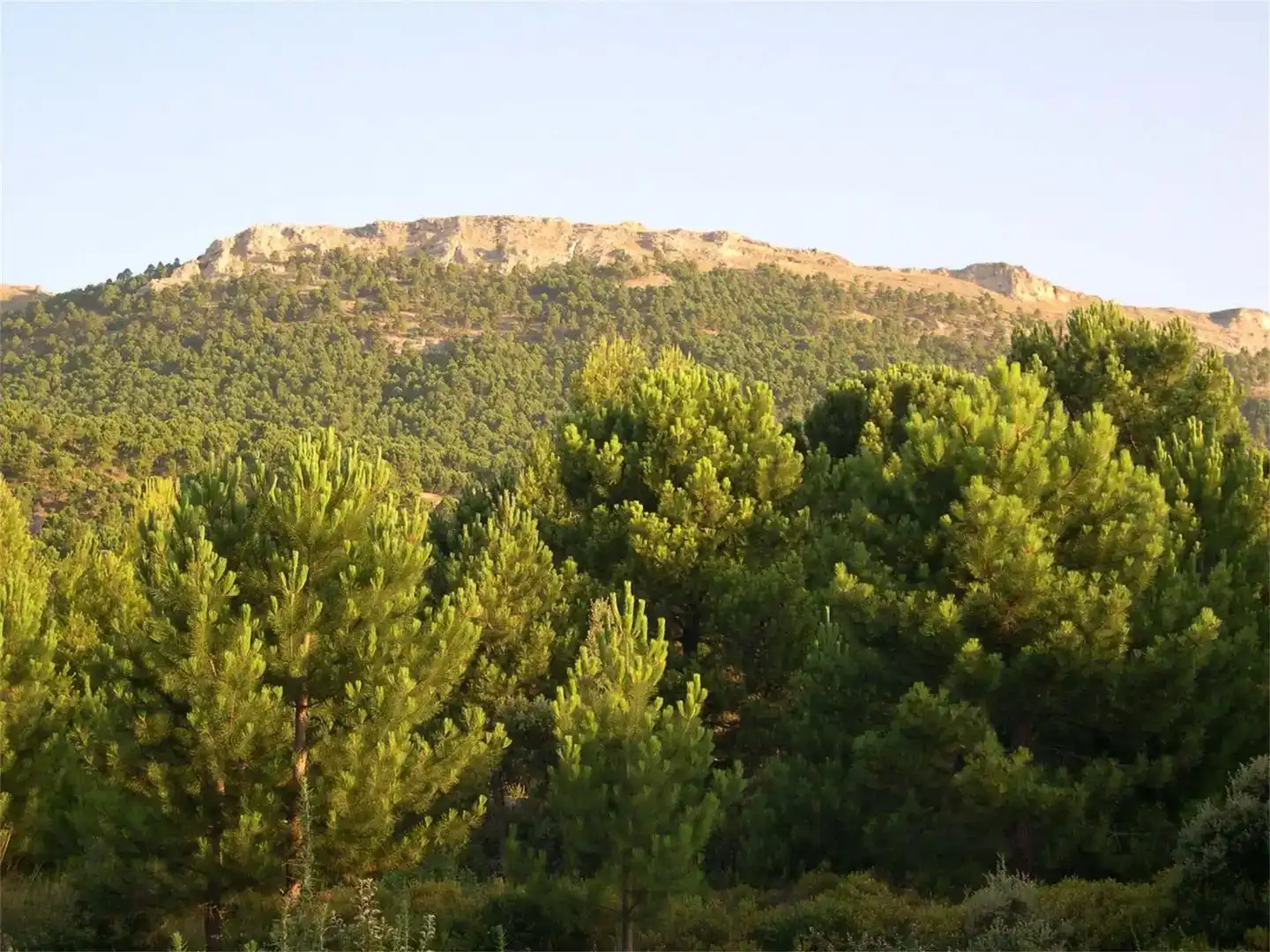 Finca rústica en venda en Yeste amb Jardí privat, Traster i Piscina