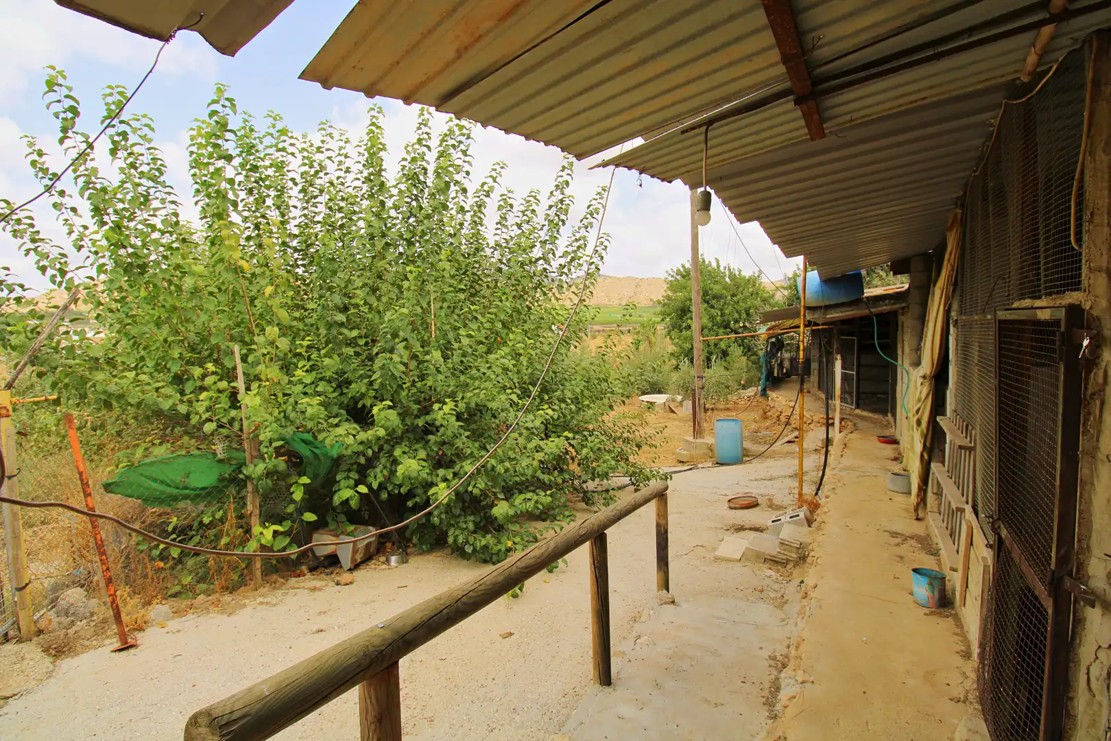 Maison rustique à vendre à Alquería - Torrealquería, imagen 12