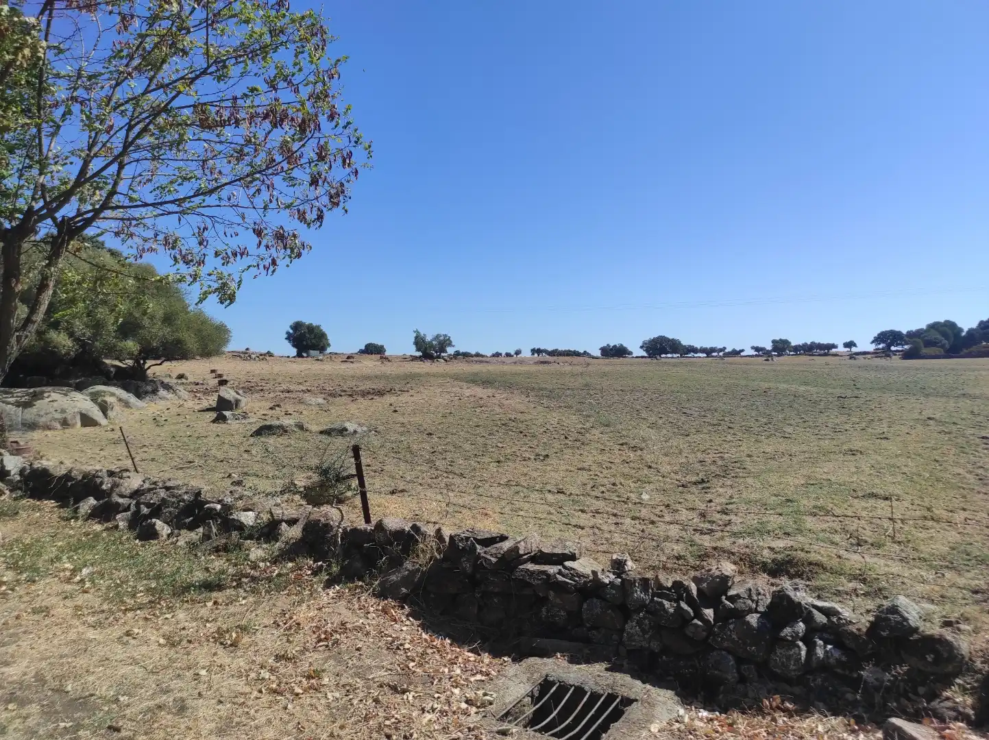 Terreny en venda a Avenida Virgen del Encinar, 1, Ceclavín