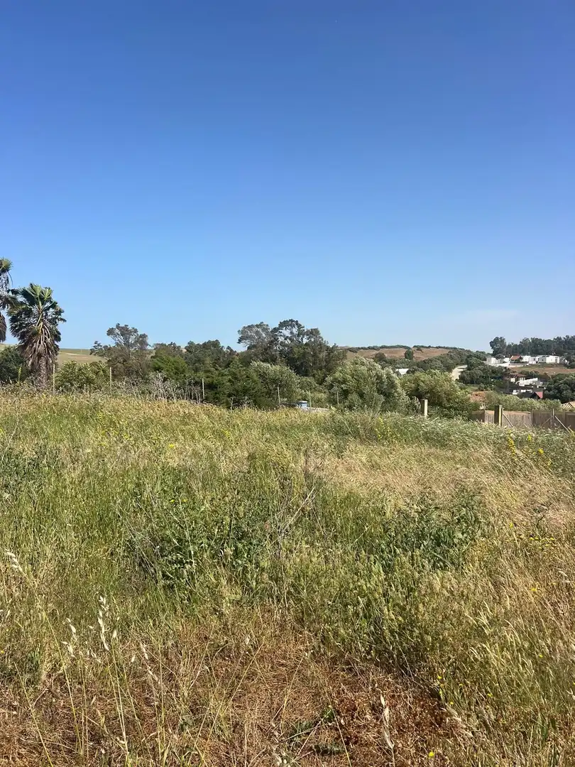 Terreno rustico in vendita a Barbate ciudad, imagen 8
