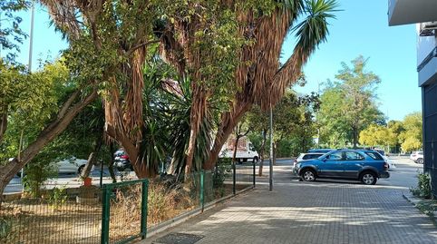 Foto 4 de Apartamento en venta en San Pablo, Sevilla Capital