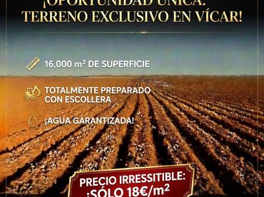 Rural land for sale in Calle Baja Estación 9