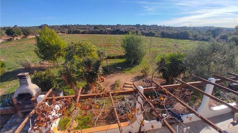 Foto 4 de Finca rústica en venta en Sant Jordi, Palma de Mallorca