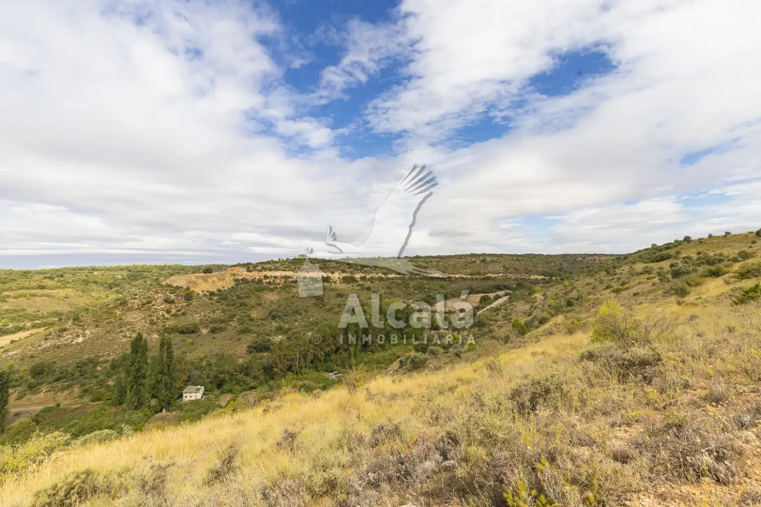 Residential land for sale in Hueva, imagen 18