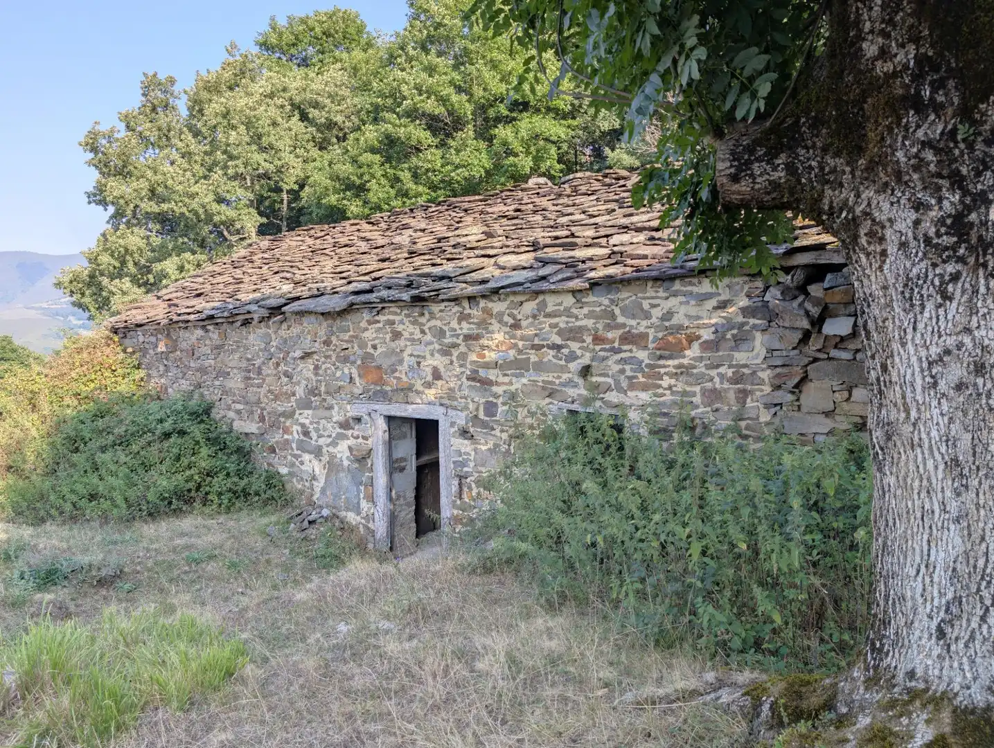 Vista exterior de Casa o xalet en venda en Aller amb Jardí privat