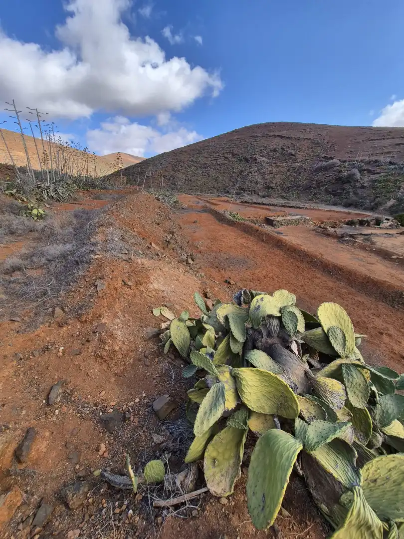 Jardí de Finca rústica en venda en Antigua amb Jardí privat i Terrassa