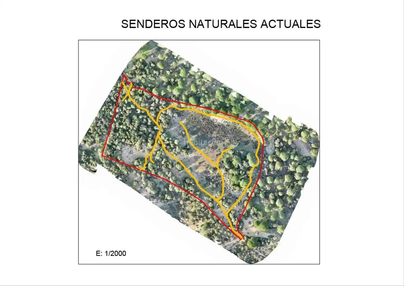 Terrain rustique à vendre à Calle Juan Relinque 36