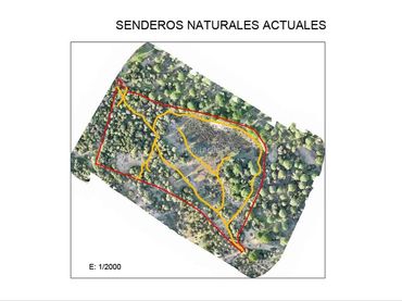 Terreno rustico in vendita a Calle Juan Relinque 36