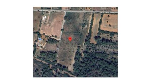 Foto 2 de Finca rústica en venda a Poligono 7 Parcela 289, Llubí, Illes Balears