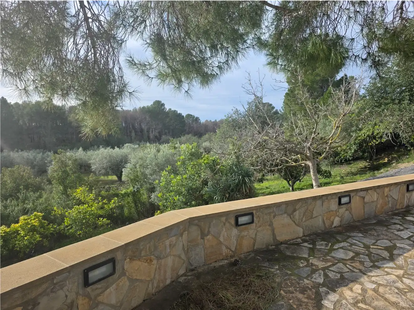 Terrain rustique à vendre à Xerta, imagen 15