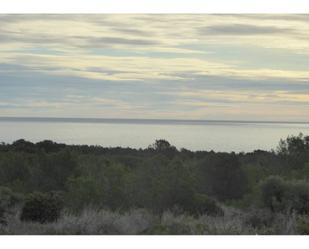 Terreny en venda en Peñíscola / Peníscola