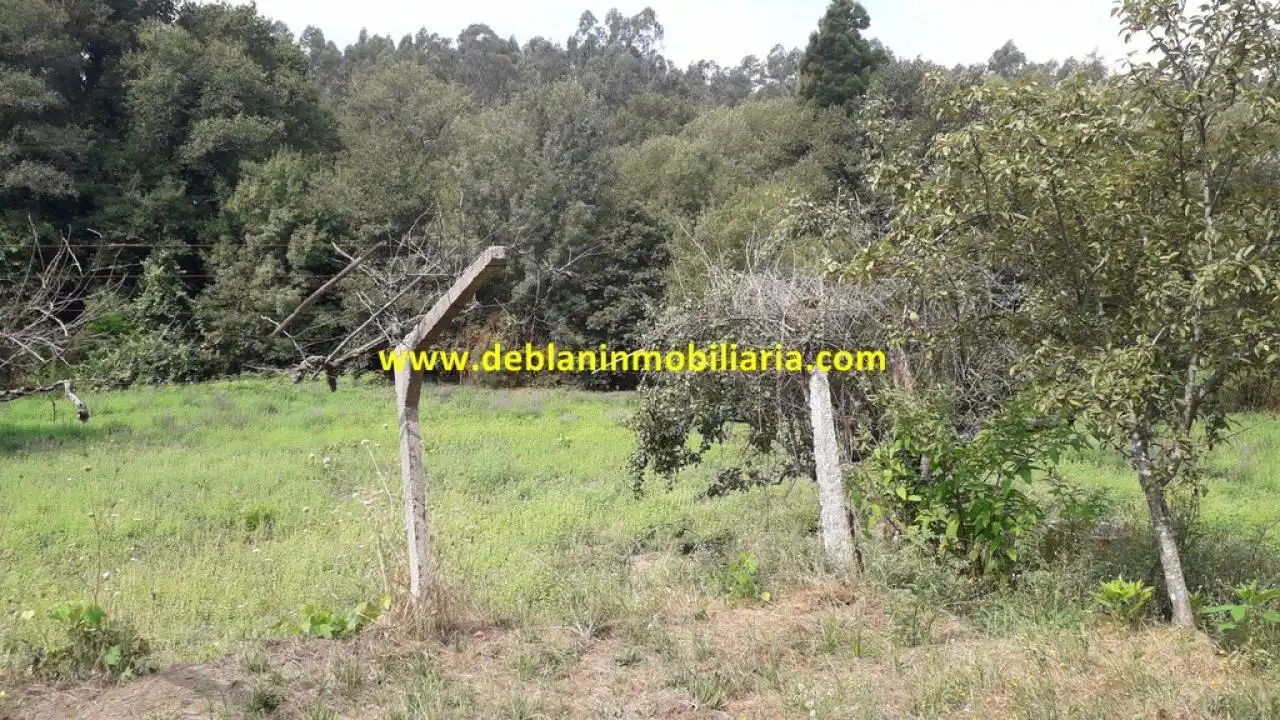 Terreno rustico in vendita a Tomiño, imagen 9