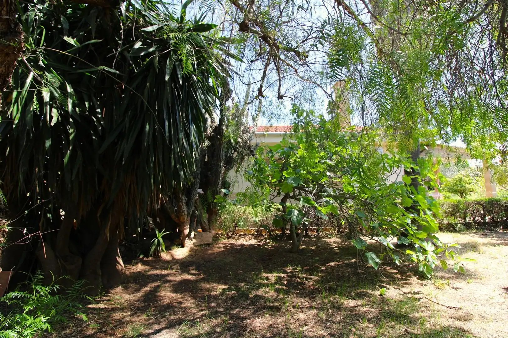 Jardín de Casa o chalet en venta en Marratxí con Aire acondicionado, Calefacción y Jardín privado