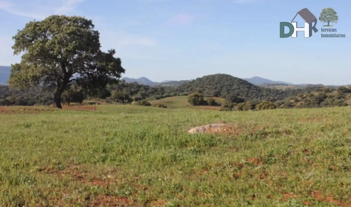 Terrenys i solars en venda a Norte, imagen 3