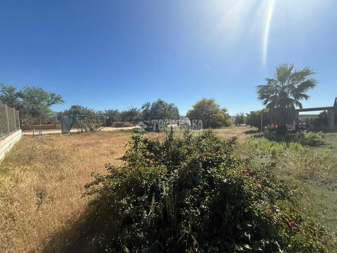 Finca rústica en venta en Arahal con Aire acondicionado y Piscina