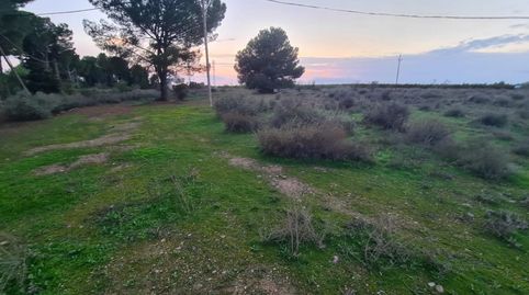 Foto 3 de Residencial en venda a B Cerdera Alta, 5, -1, La Cerdera, Lleida Capital