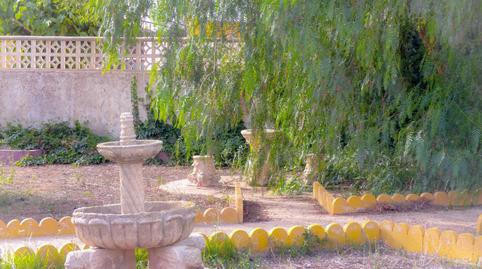 Foto 4 de Finca rústica en venta en La Pinilla - Las Palas, Murcia