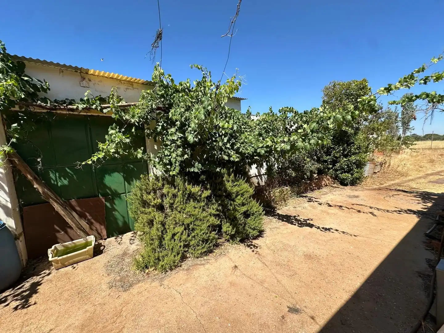 Rural land for sale in Carretera Valdepeñas-Ciudad Real, imagen 66