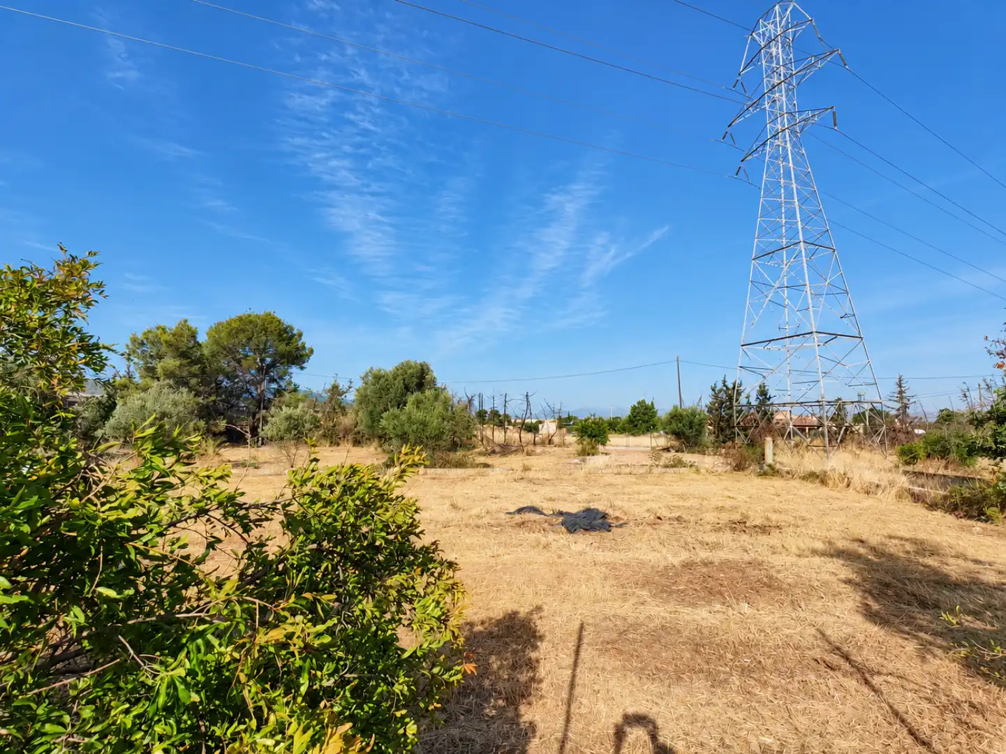 Residential land for sale in El Palmar - DS CARRIL CARRILES 0, imagen 12
