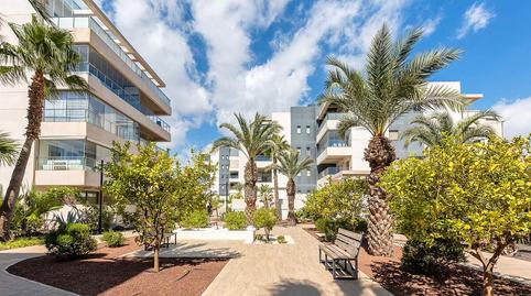 Photo 4 of Apartment for sale in Calle Clavo, Villamartín - Las Filipinas, Alicante