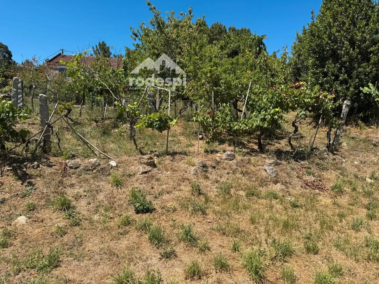 Maison à vendre à Crecente, imagen 14