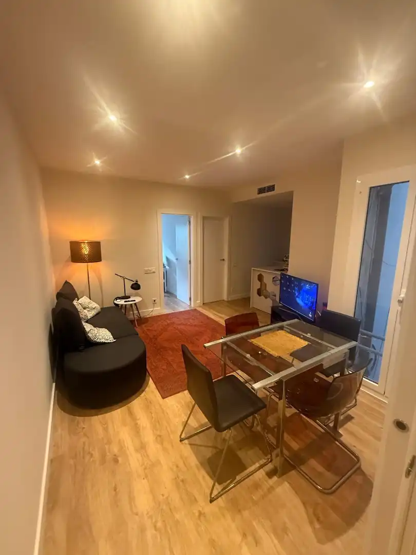 Sala d'estar de Pis de lloguer en Barcelona amb Aire condicionat, Parquet i Moblat