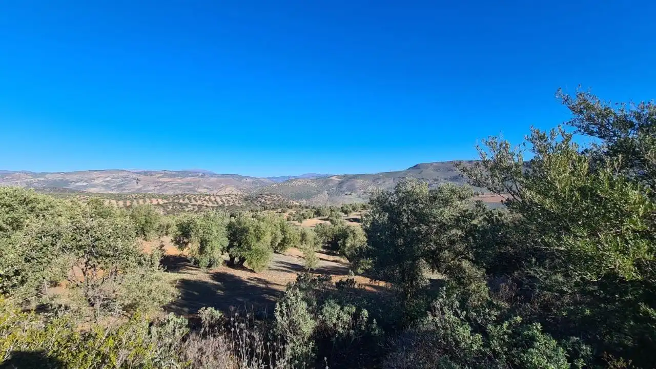 Terreny rústic en venda a CORTIJO DE MORA Y MARAÑON, imagen 4