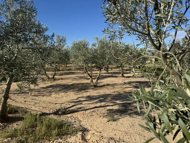 Terreno residencial en Venta en Sant Guim de la Plana