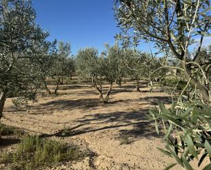 Residential for sale in Sant Guim de la Plana