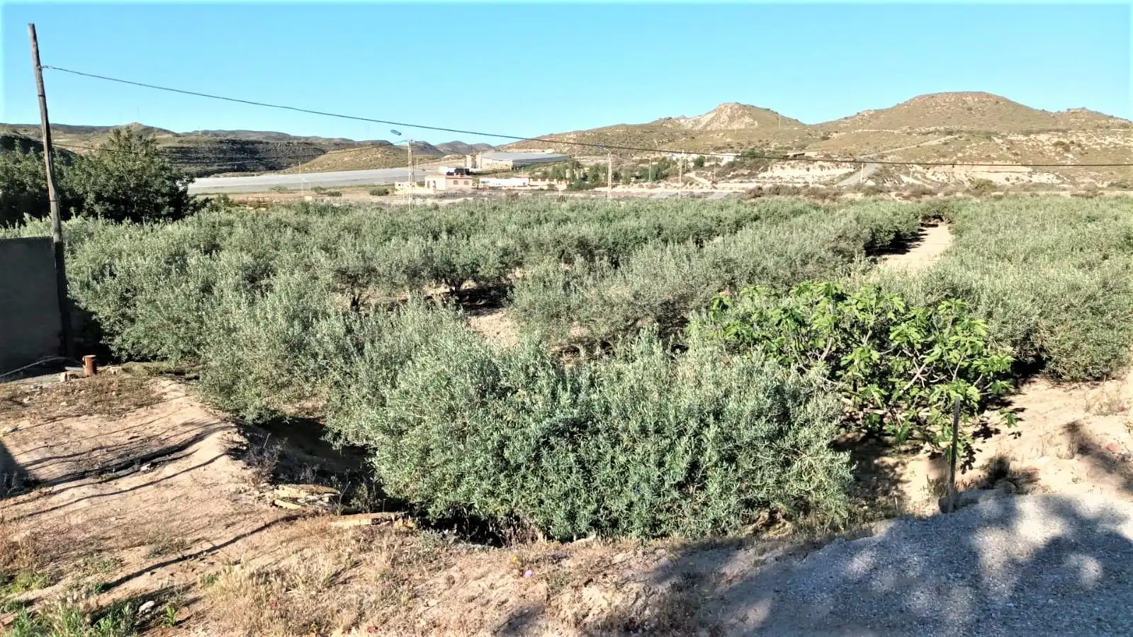Residential land for sale in Carboneras, imagen 6