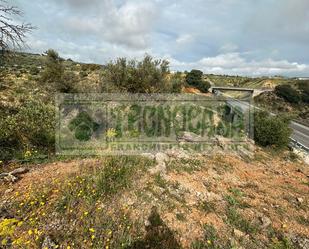 Land for sale in Ronda