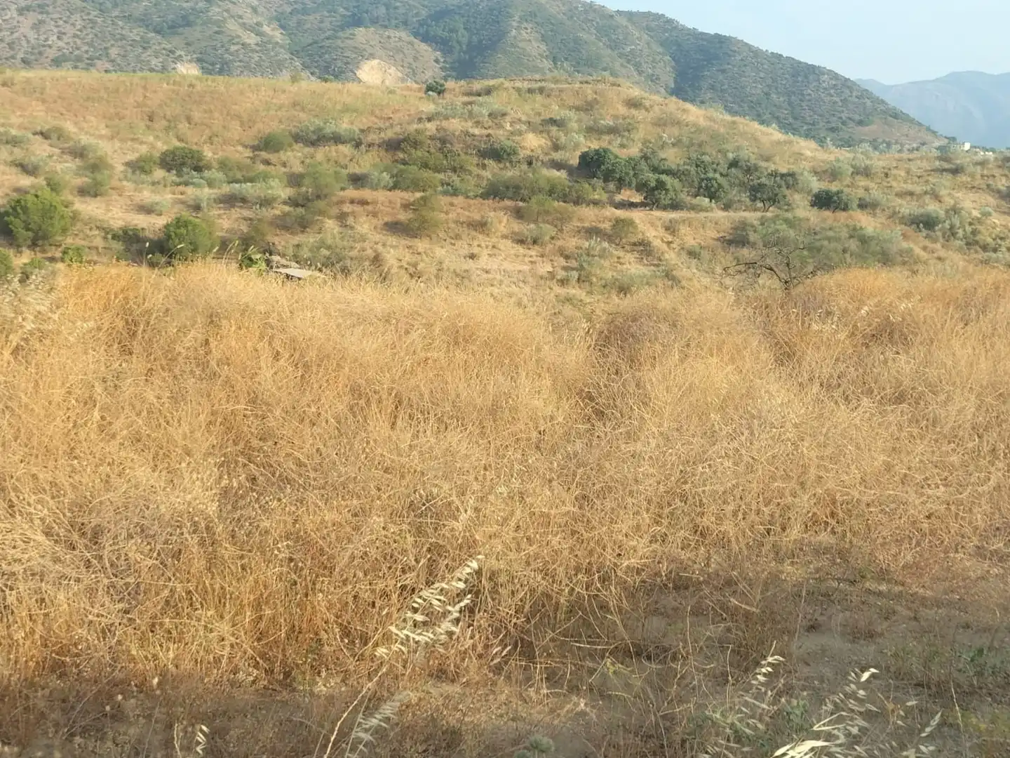 Terreno rustico in vendita a Cártama pueblo, imagen 6