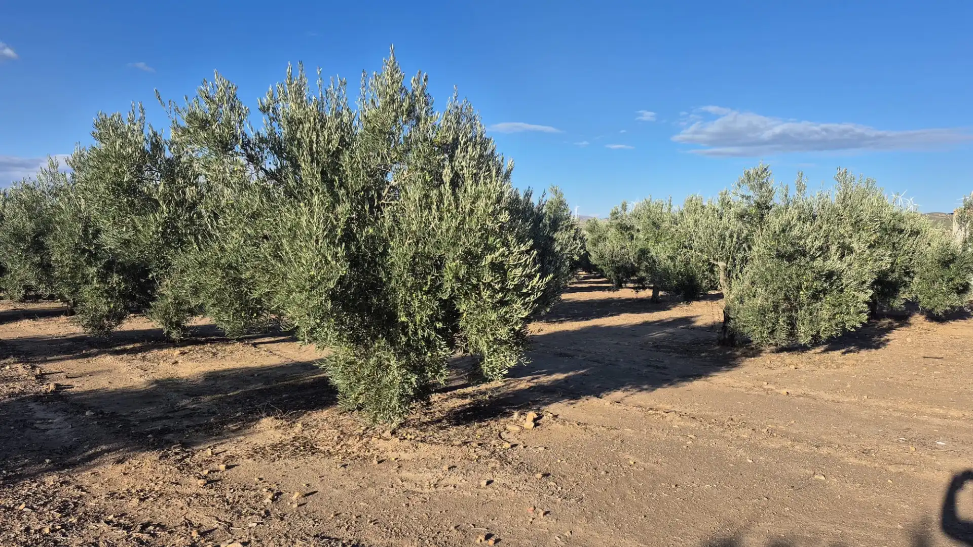 Terreny en venda en Alcóntar