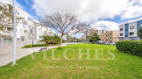 Foto 2 de Piso de alquiler en Calle Cocotero, Siete Palmas, Las Palmas de Gran Canaria